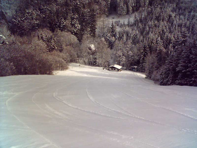Sjezdovka Nutrie
