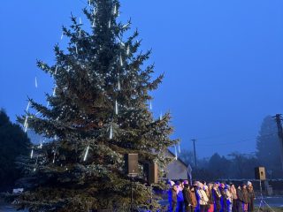 Rozsvícení vánočního stromu