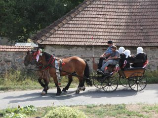 Nedvědické hody